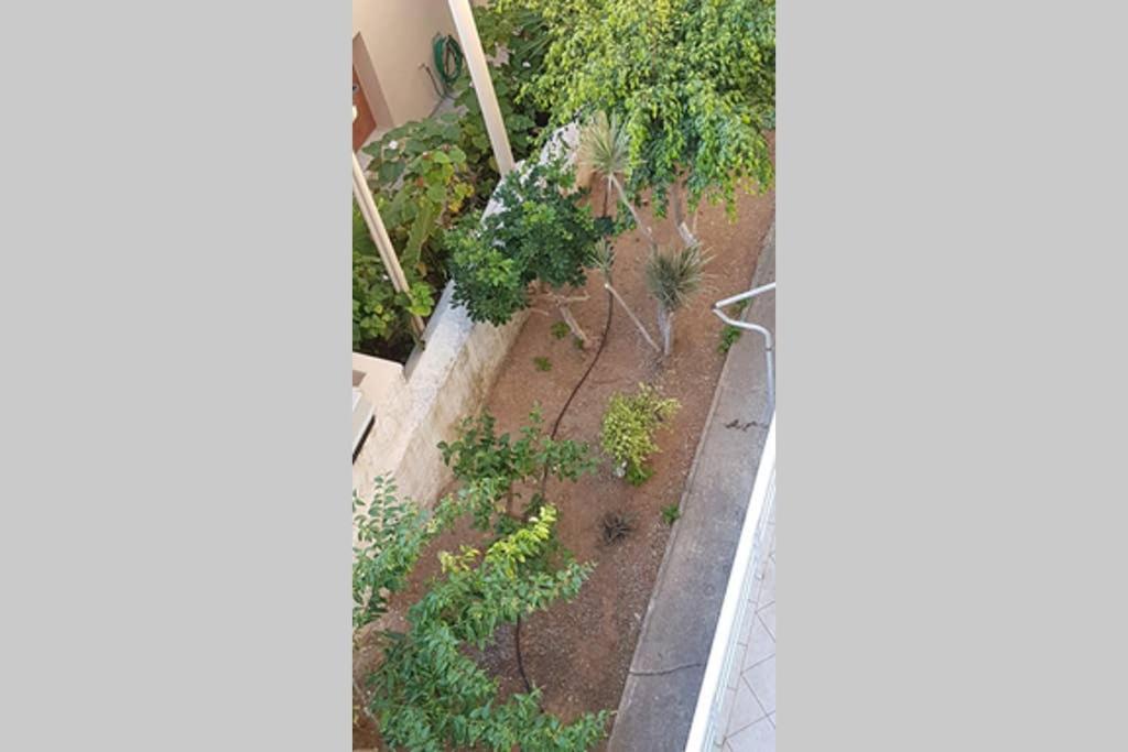 Ellis Apartments , Amperia , Crete خانيا المظهر الخارجي الصورة
